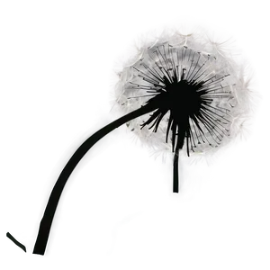 Dandelion Silhouette PNG 96