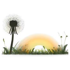 Dandelion Sunset Silhouette PNG Fth PNG