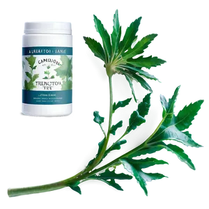 Dandelion Tea Leaf PNG Eci95 PNG