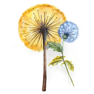 Dandelion Watercolor Art PNG 41
