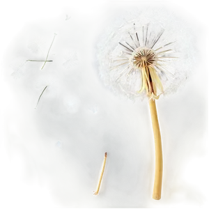 Dandelion Wishes PNG 04292024