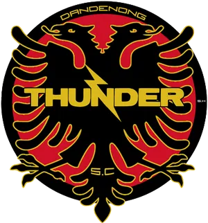 Dandenong Thunder S C Logo PNG image