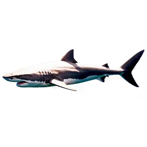 Dangerous Shark PNG Xud52