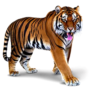 Dangerous Tiger Expression PNG Lkh98 PNG