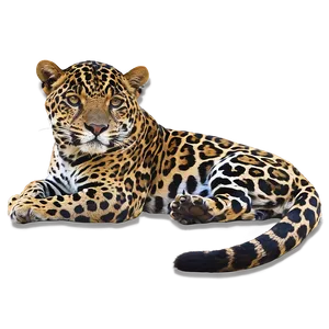 Dappled Light Jaguar Png Iks PNG image