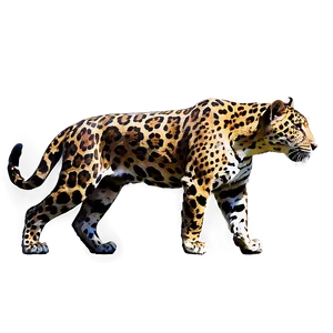 Dappled Light Jaguar PNG Pay25 PNG