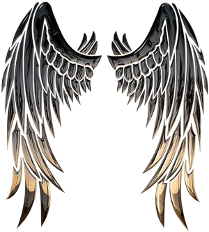 Dark Angel Wings Artwork