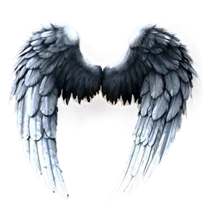 Dark Angel Wings Png 65 PNG image