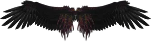 Dark Angel Wings Spread PNG image