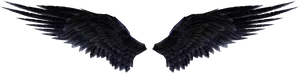 Dark Angel Wings Spread PNG image