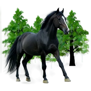 Dark Black Horse In Forest PNG Xna40 PNG