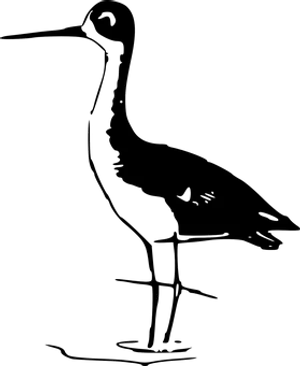 Dark_ Blank_ Image