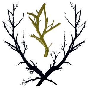 Dark Branches Png Ahk9 PNG image