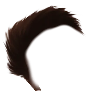 Dark Brown Hair Silhouette PNG image