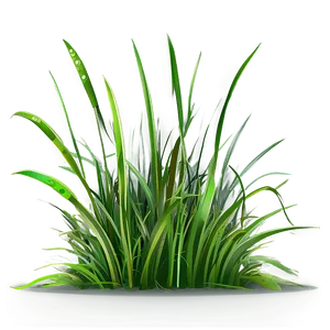 Dark Cartoon Grass PNG Xik83 PNG