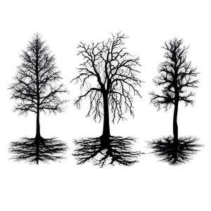 Dark Eerie Black Trees PNG 49 PNG