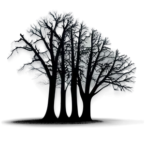 Dark Eerie Black Trees PNG 79 PNG