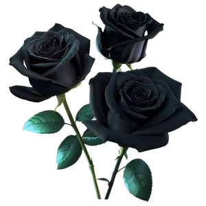 Dark Elegance Black Roses PNG 06212024 PNG