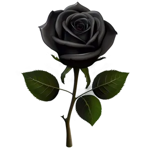 Dark Elegance Black Roses PNG 06212024 PNG