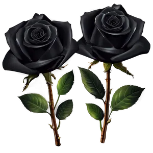 Dark Elegance Black Roses PNG 20 PNG
