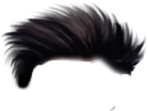 Dark Feathered Hairstyle.jpg