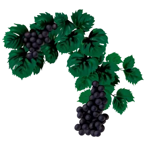 Dark Grape Buncheswith Leaves PNG image