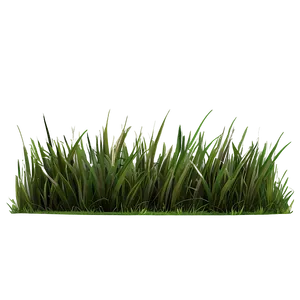 Dark Green Grass PNG 98