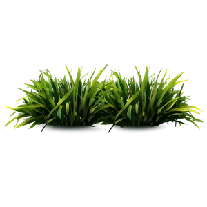 Dark Green Grass PNG Qxj71
