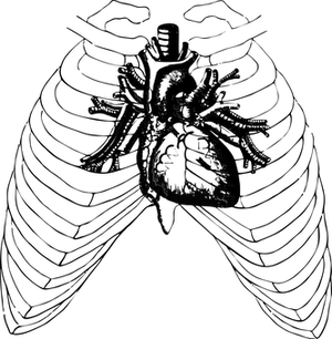 Dark Heart Shaped Tree Night Sky