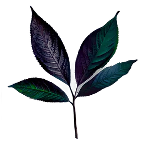 Dark Leaves PNG 05042024
