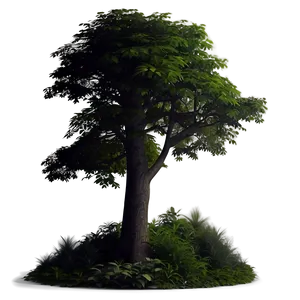 Dark Moody Forest Trees PNG Mkq82 PNG