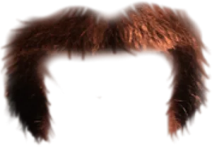 Dark Mustache Closeup