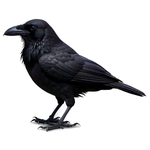 Dark Ominous Crow Png 05062024 PNG image
