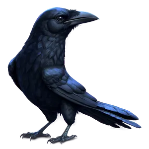 Dark Ominous Crow Png 05062024 PNG image