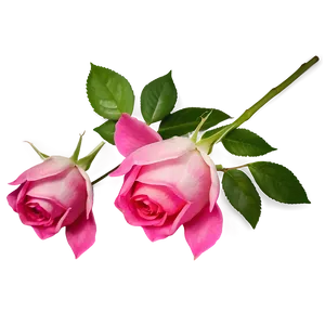 Dark Pink Rose PNG Fqq PNG