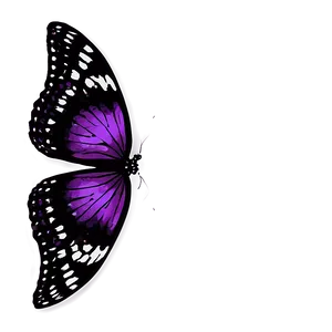Dark Purple Butterfly Png Ohl PNG image