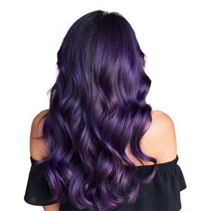 Dark Purple Hair Shade Inspiration Png 06272024 PNG image