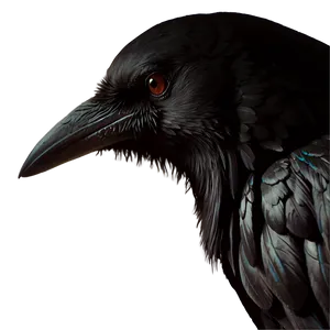Dark Raven PNG Bxm58