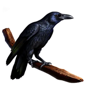 Dark Raven Png Msh PNG image