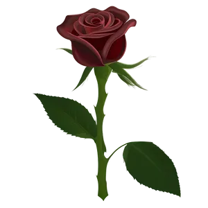 Dark Red Rose PNG 85