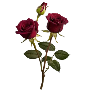 Dark Red Rose PNG Tfy80
