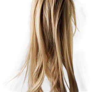 Dark Roots Blonde Hair Png Jrv76 PNG image