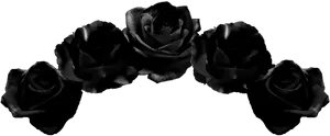 Dark Roses Elegance PNG image