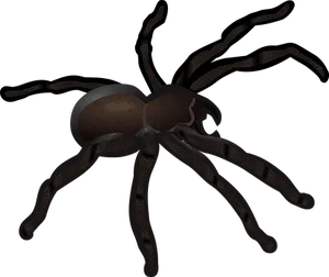 Dark Spider Illustration