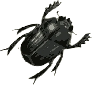 Dark Stylized Beetle Illustration