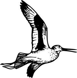 Darkened Image Error
