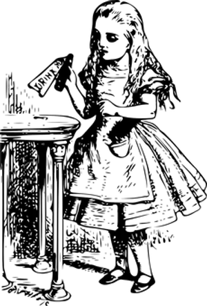 Darkened Image Error