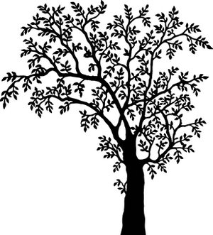 Darkened Silhouetteof Tree Against Night Sky