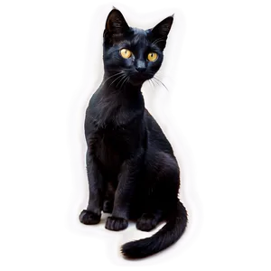 Darling Kitty PNG Aqy PNG