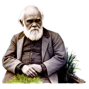 Darwin's Contributions To Ecology PNG Wkw